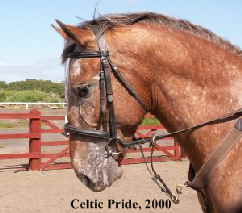 Celtic_ Pride02